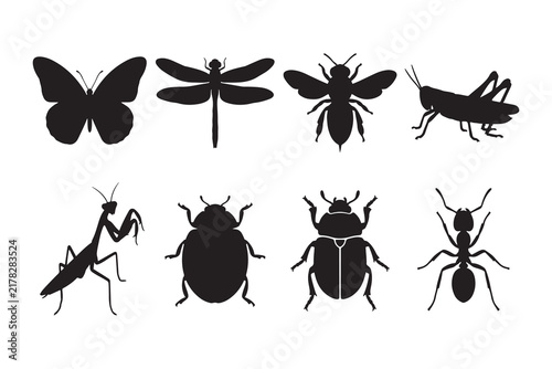 Set of various insect silhouettes including butterfly, dragonfly, bee, grasshopper, praying mantis, ladybug, beetle, and ant