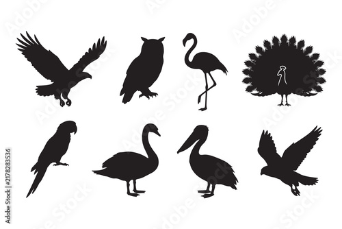 Collection of bird silhouettes including eagle, owl, flamingo, peacock, parrot, swan, pelican, and flying bird