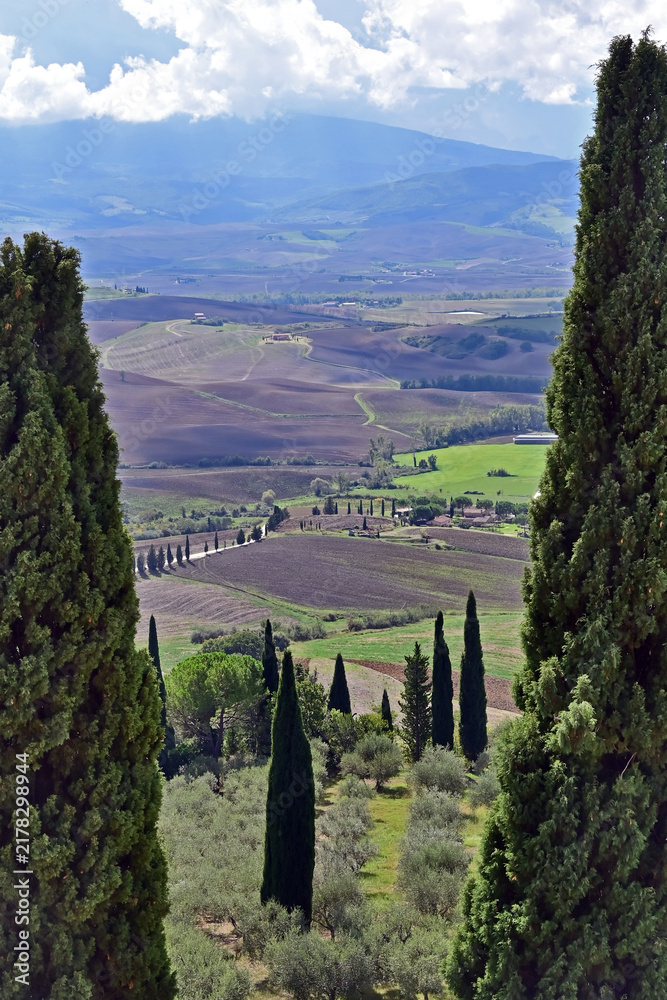 Obraz premium Pienza, the countryside and hills of the Val d'Orcia from the city walls, Val d'Orcia, Tuscany, Italy