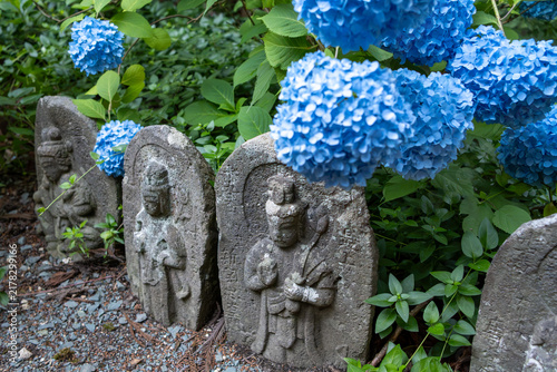 Obraz na płótnie 山形市・出塩文殊堂の紫陽花参道ライトアップ
