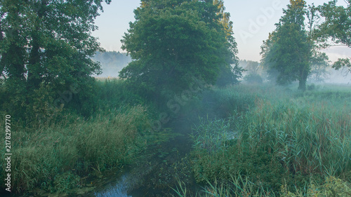 Fotografie a lush green meadow covered in a dense, misty fog with several trees scattered a