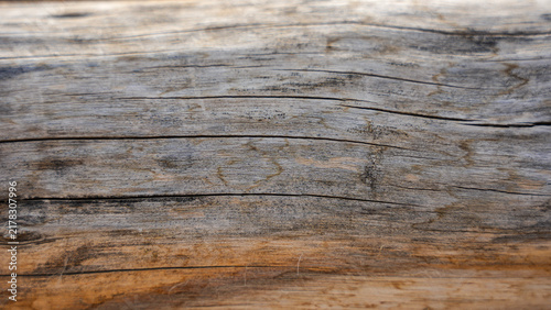 Quadro su tela Detailed texture of weathered grey and brown tree bark with natural cracks