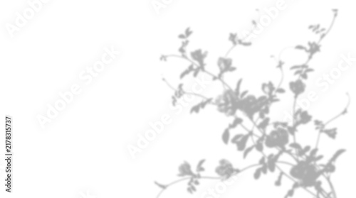 Soft floral shadow overlay isolated on transparent background