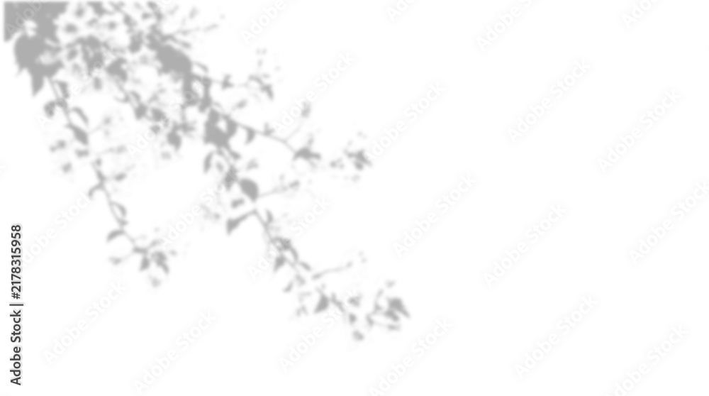 Fototapeta premium Shadow of tree branches isolated on transparent background