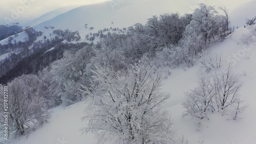 The bald forest shelters the hillside at a cold, beautiful sunset