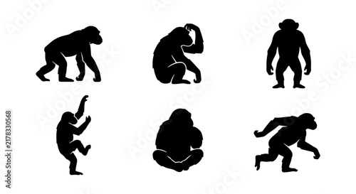 Gorilla Silhouettes Collection, Primate Poses Vector Set, African Ape Icons, Wildlife Animal Graphics, Jungle Mammal Illustrations, Black Silhouette Art