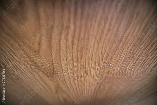 Natural wood texture close-up, rustic surface pattern