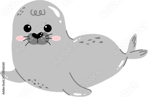 Cute Seal Animal Illustration