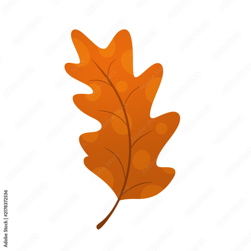 Fototapeta premium Orange Autumn Oak Leaf Vector