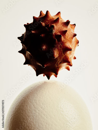 fruit and egge, ostrich egg , ripened kiwano ,contemporary still life , modernity , origin , birth , protection , defence , protection , defence , maturity , symbolic reading , nature , contrast ,