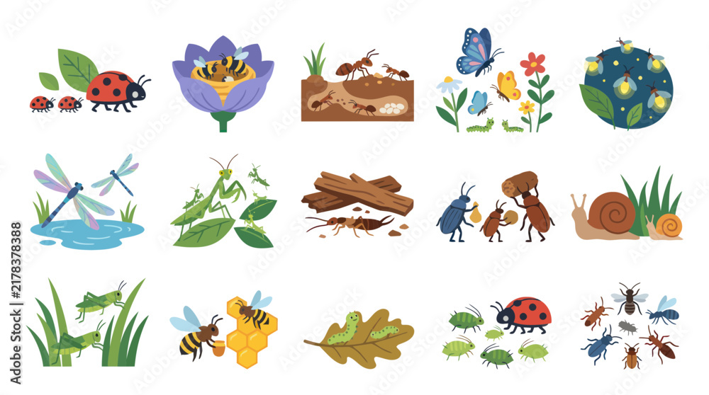 Obraz premium Flat Vector Illustration Set of Various Insects and Bugs in Nature and Biology, Educational Collection