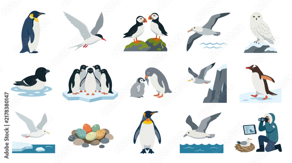 Obraz premium Polar Wildlife Birds Flat Vector Illustration Set: Penguins, Puffins, Gulls, Albatross, Snowy Owl Arctic Animals