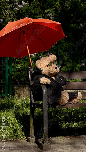 Fotografía teddy bear with umbrella
