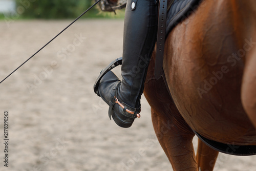 Картината върху платно Side view of chestnut horse in harness with female rider jockey in hat helmet an