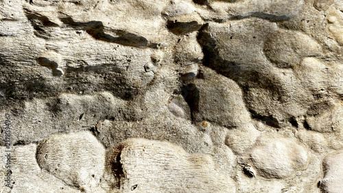 Foto Rough bumpy natural light grey stone surface texture background
