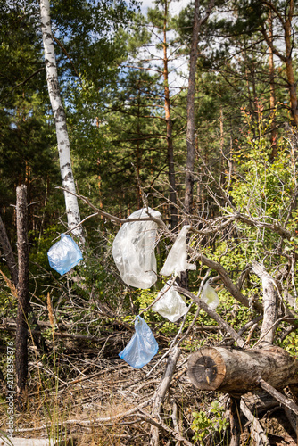 Ecological problem. Household waste in nature. Consequences of human activity. Plastic bags stuck on tree branches