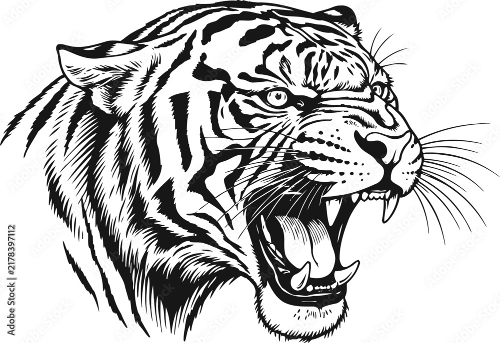 Obraz premium Roaring tiger head illustration aggressive wild cat face with open mouth and sharp teeth