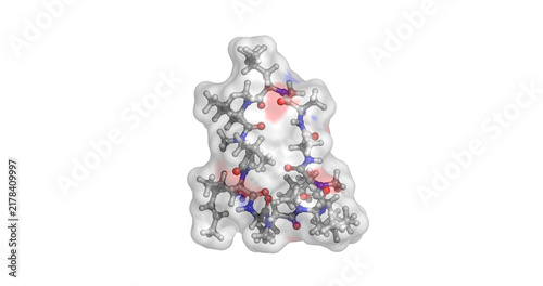 Quadro su tela Cyclosporin A, cyclic undecapeptide calcineurin inhibitor and immunosuppressant