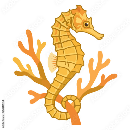 Yellow seahorse illustration clinging to orange coral reef branch on white background
