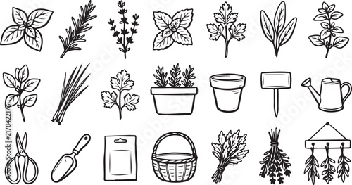 Hand Drawn Culinary Herbs and Garden Tool Vector Clipart Set