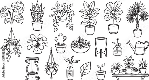 Hand Drawn Houseplant Clipart and Indoor Botanical Vector Elements Set