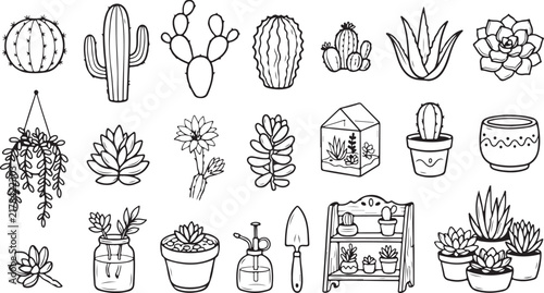 Hand Drawn Cactus and Succulent Line Art Vector Clipart Set