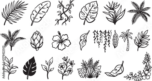 HHand Drawn Tropical Leaves and Exotic Floral Vector Clipart Set