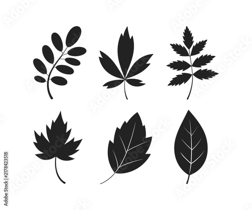 Set of Autumn Leaves Silhouettes: A collection of six distinct black leaf silhouettes, each representing a different type of foliage in its autumnal glory. botanical illustration, fall nature.