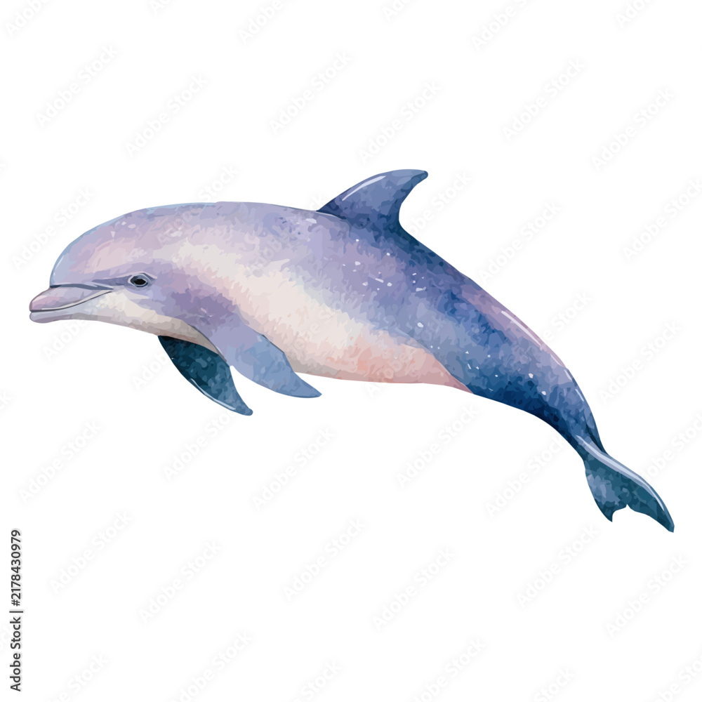 Obraz premium watercolor of Porpoise, vector, isolated on a white background.