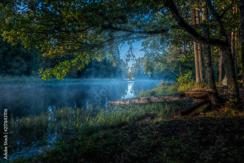 Autumn river in a foggy morning. Farnebofjarden national park in north of Sweden