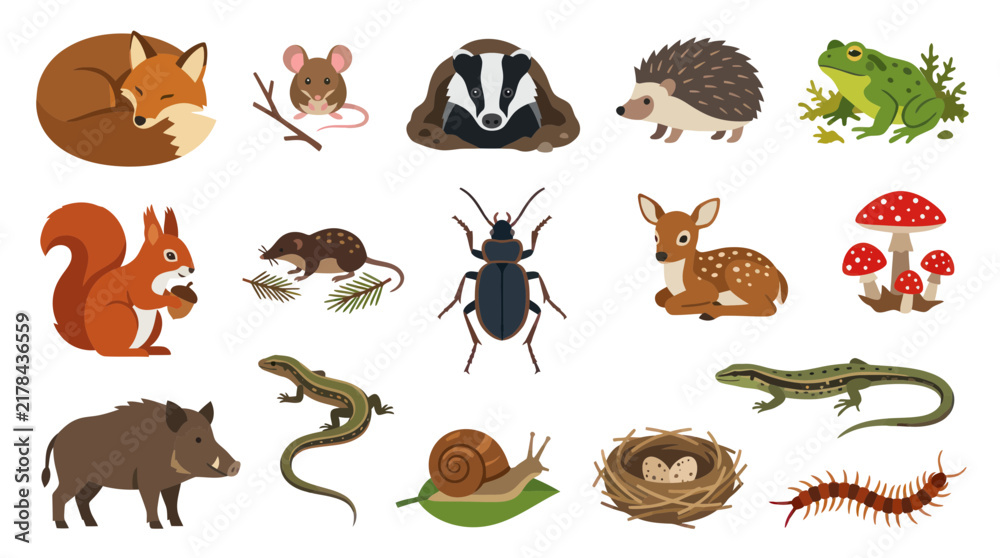 Obraz premium Flat Design Vector Forest Animals and Wildlife Set - Cute Woodland Creatures for Nature Education