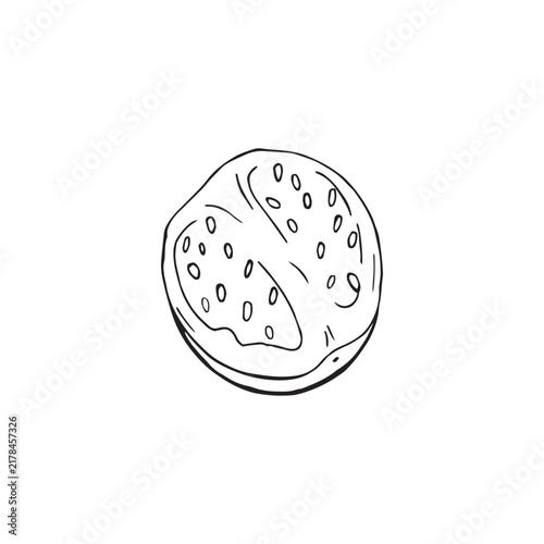 Vector illustration of black line hand drawn half of physalis isolated on white background