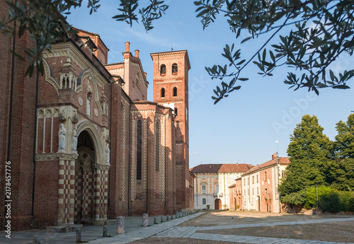 Asti Cathedral with Olive Tree in Foreground