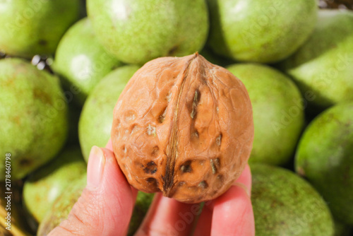 Canvastavla Fresh Walnut in Shell with Green Walnuts, Xinjiang Harvest