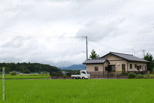 Japanese countryside with rice fields and rural landscape
