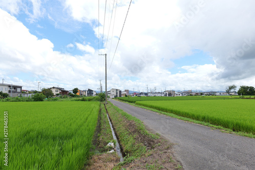 Japanese countryside with rice fields and rural landscape