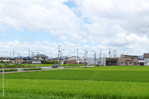 Japanese countryside with rice fields and rural landscape