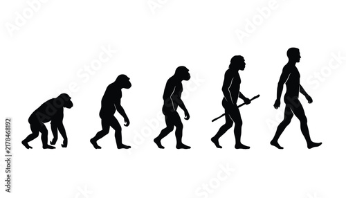 Quadro su tela Human evolution silhouette vector illustration chart showing the biological prog