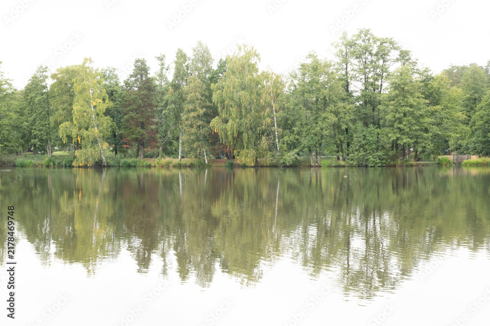 Fototapeta premium reflection of trees in the lake