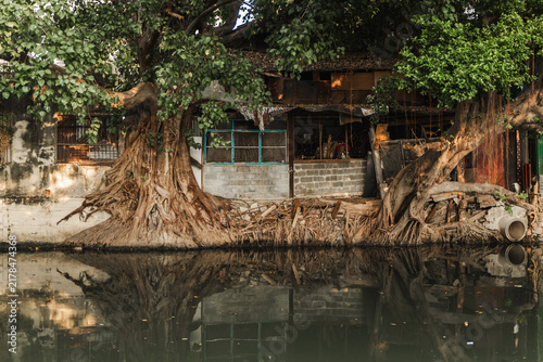 Canvastavla Rustic Canal-Side Dwelling Framed by Banyan Trees in Bangkok