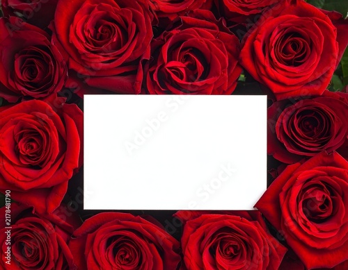 A blank white card surrounded by a frame of vibrant, velvety red roses in full bloom