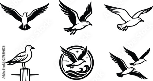 Flying seagull vector illustration set featuring various poses rendered in black ink on transparent background
