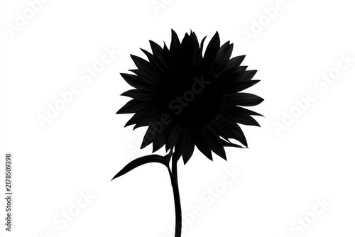 Black silhouette of sunflower head with detailed petals and stem