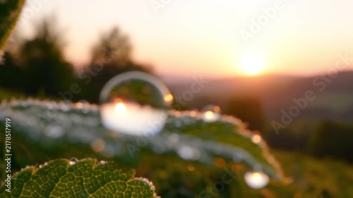Close up of dew drops on a green leaf with a blurred sunset background with video macro shot water droplets resting wet leaf surface bright sun setting over distant hills