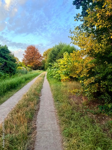 fields in the countryside, rural summer landscape without people