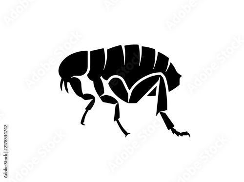 Black silhouette of a flea - ideal for pest control services, veterinary care, educational infographics, and insect-related design projects