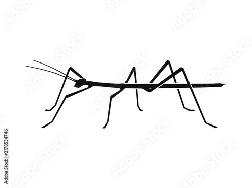 A minimalist black silhouette of a stick insect - ideal for educational illustrations, insect identification, nature-themed designs, and simple logo elements