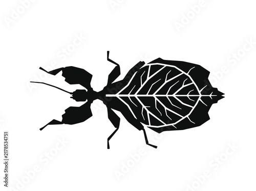 Stylized black silhouette of a leaf insect - ideal for nature-themed designs, biology education, minimalist logos, and environmental graphics