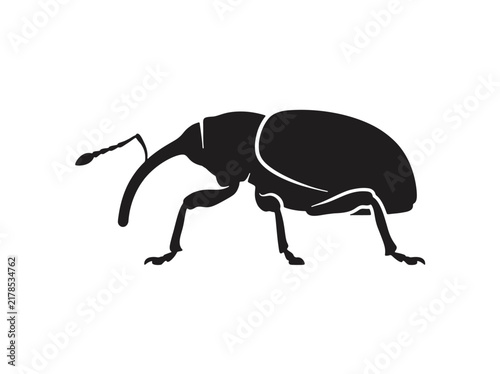 Black silhouette of a weevil beetle with a distinct long snout - ideal for scientific illustrations, educational content, pest control awareness, and minimalist nature-themed designs