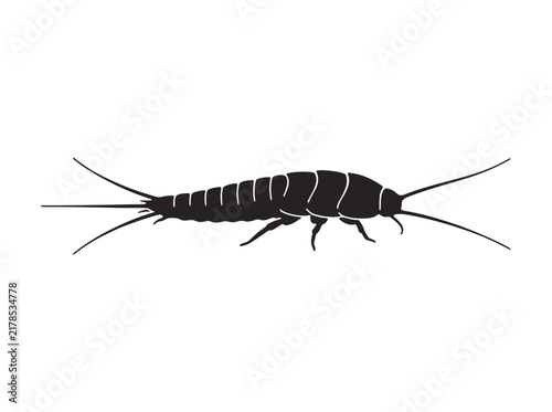 Silverfish insect silhouette - ideal for pest control information, entomology illustrations, educational materials, and warning signs